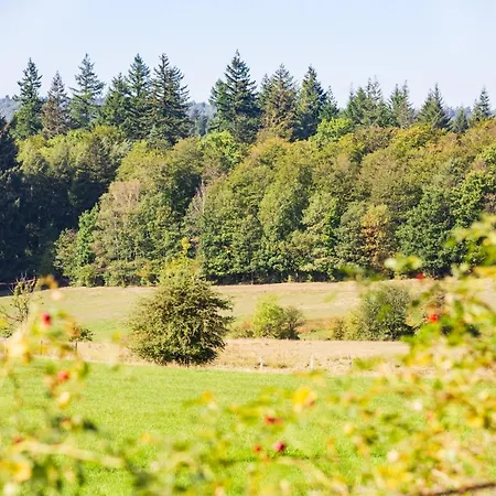 Vakantiehuis Le Refuge De Frahinfaz